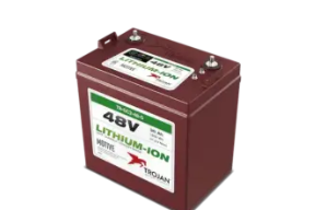 GC248V Golf Cart Battery